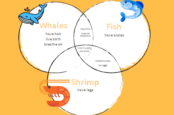 4-Set Venn diagram - Template  Venn diagrams - Vector stencils