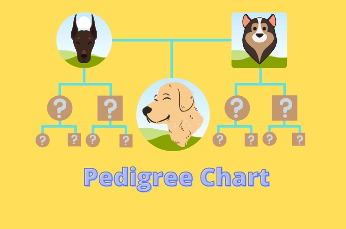 how can i find my dogs pedigree