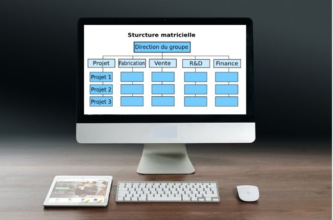 structure organisationnelle matricielle